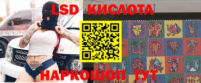 прущие грибы Будённовск