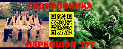 прущие грибы Будённовск