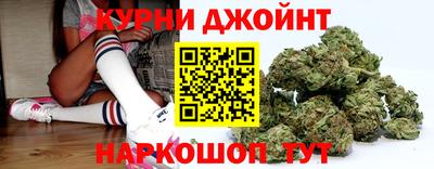 прущие грибы Будённовск