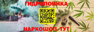 прущие грибы Будённовск