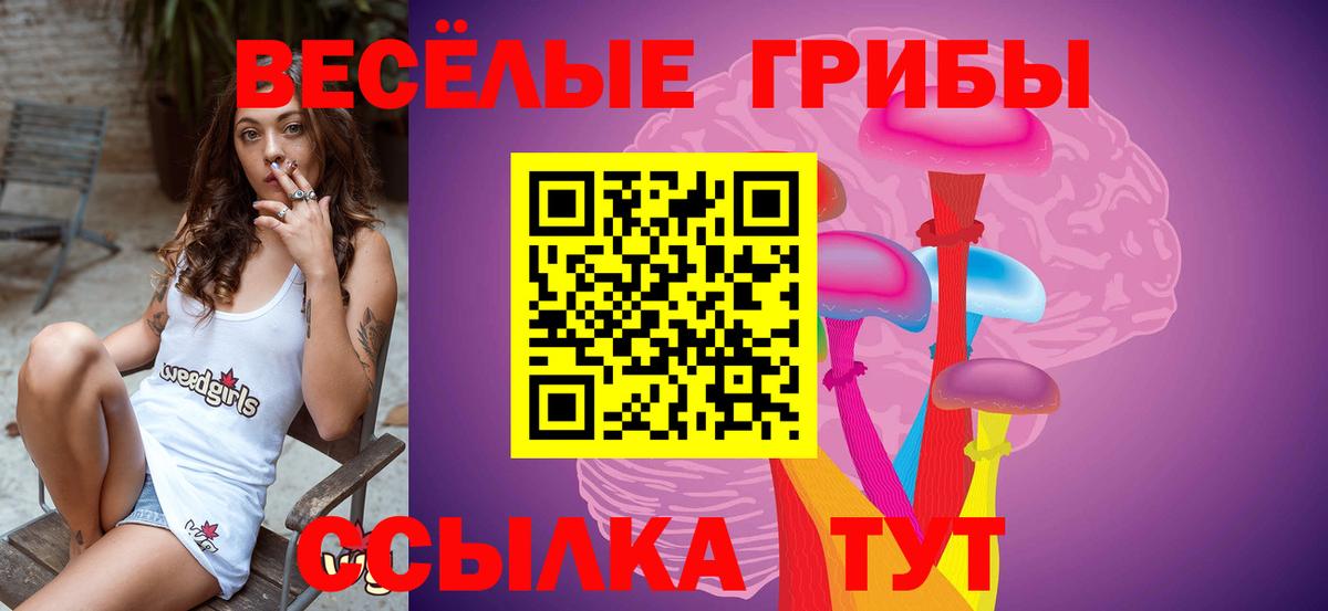 Галлюциногенные грибы ЛСД  закладка  Петровск  Вход с VPN 